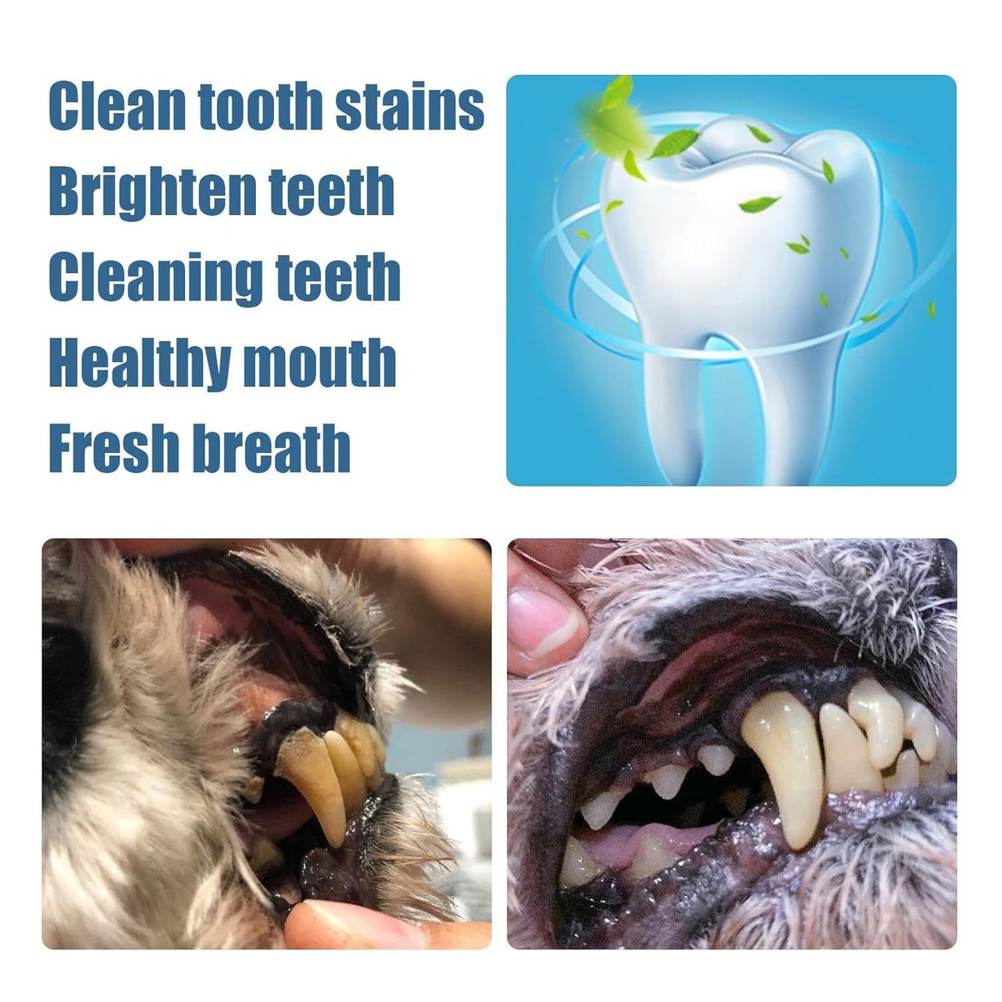 GumBuddy® - Premium Pet Oral Repair Gel