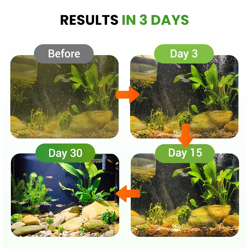 (BUY 1 GET 1 FREE) AquaPure® Max - Magic Instant Water Purifier Cleaner Powder