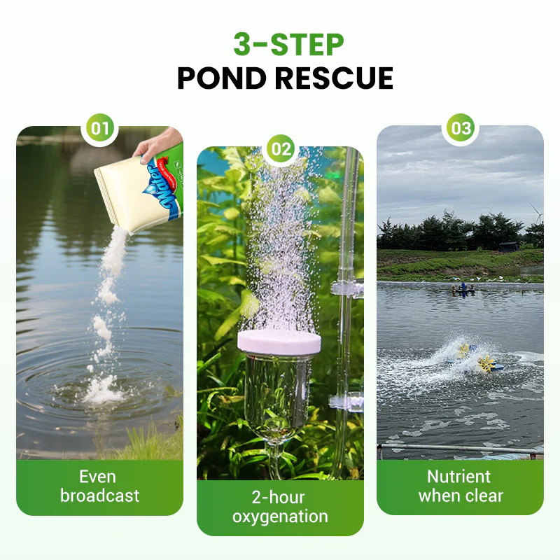 (BUY 1 GET 1 FREE) AquaPure® Max - Magic Instant Water Purifier Cleaner Powder