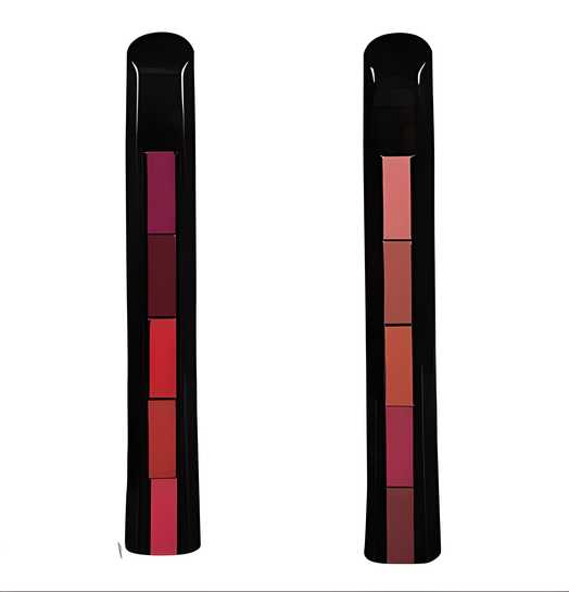 5 in 1 Lipsticks Combo Set