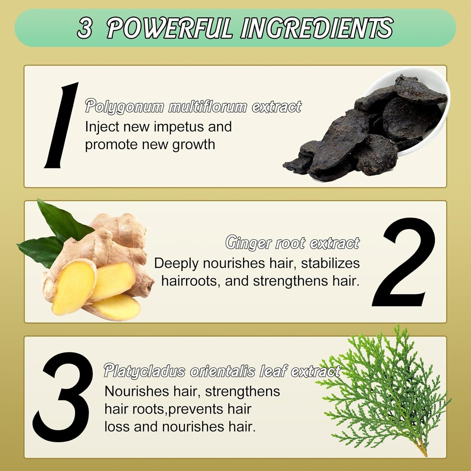 Ginger Plant Extract Anti-Hair Loss Hair Shampoo (Pack of 2)