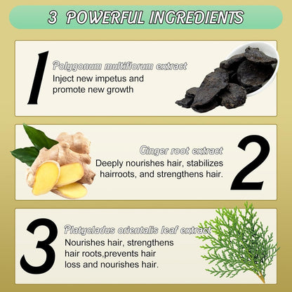 Ginger Plant Extract Anti-Hair Loss Hair Shampoo (Pack of 2)
