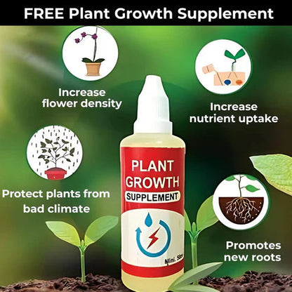 The Queen of Flowers - Peony+ Plant Growth Supplement Free