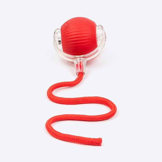 Viral Rolling Ball, Interactive Cat Ball Toy
