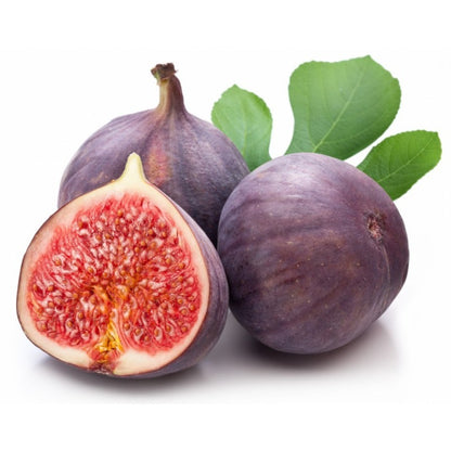 (BUY 1 PACK GET 1 FREE) VitaFig® - Premium Fig Tree Seeds