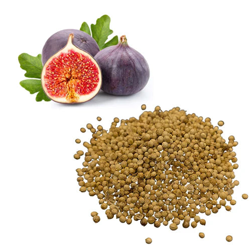 (BUY 1 PACK GET 1 FREE) VitaFig® - Premium Fig Tree Seeds
