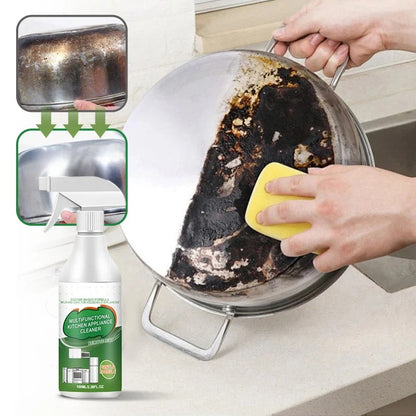 (BUY 1 GET 2 FREE) FlyCleanse® - Premium All-Purpose Cleaner