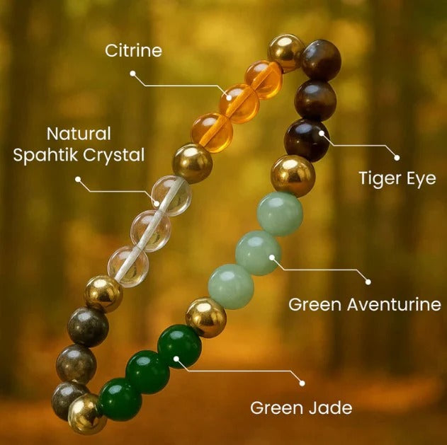 (BUY 1 GET 1 FREE) NavaDhan® - Premium Dhan Yog Bracelet