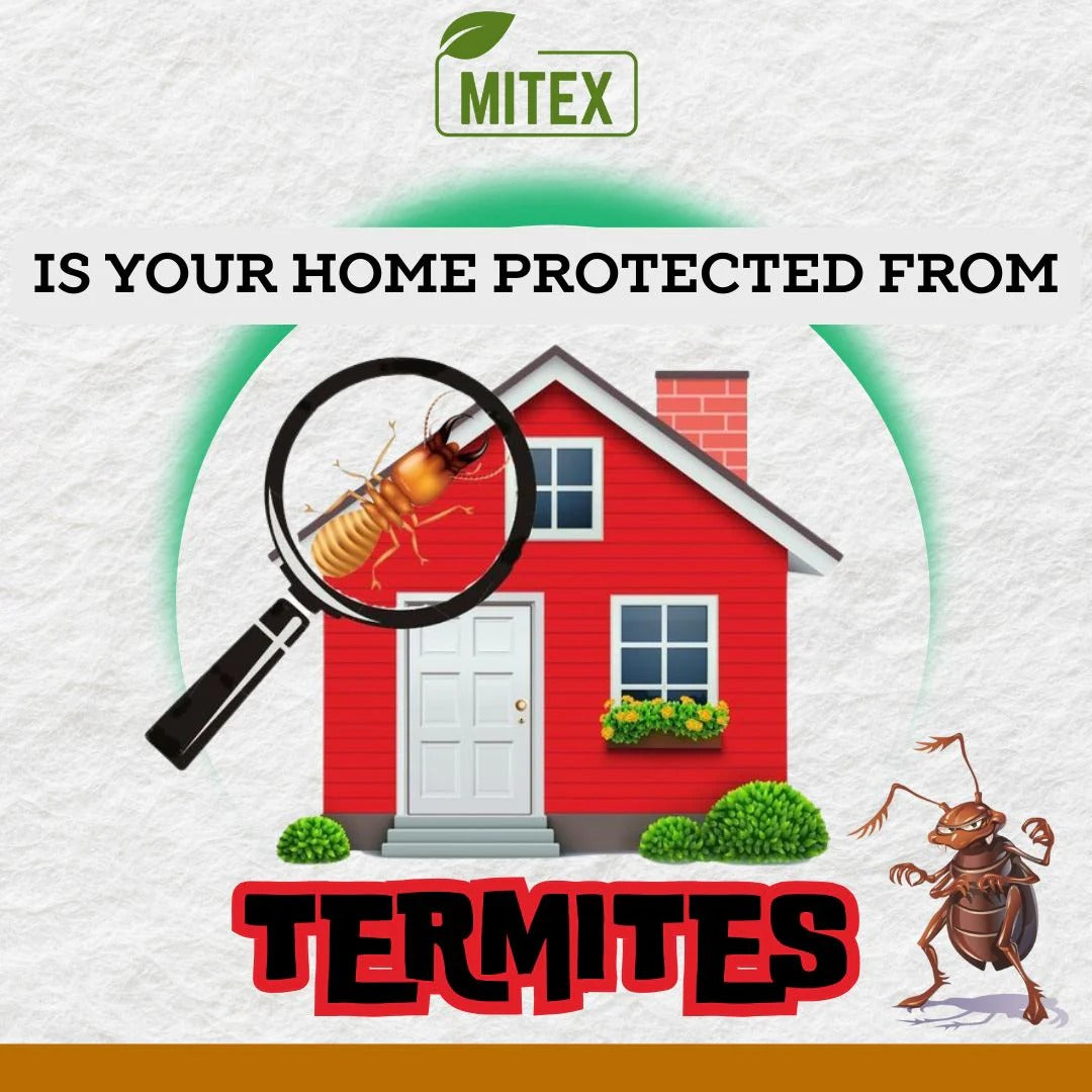 (BUY 1 GET 2 FREE) Bugnado® - Ultimate Anti-Termite Killer Spray