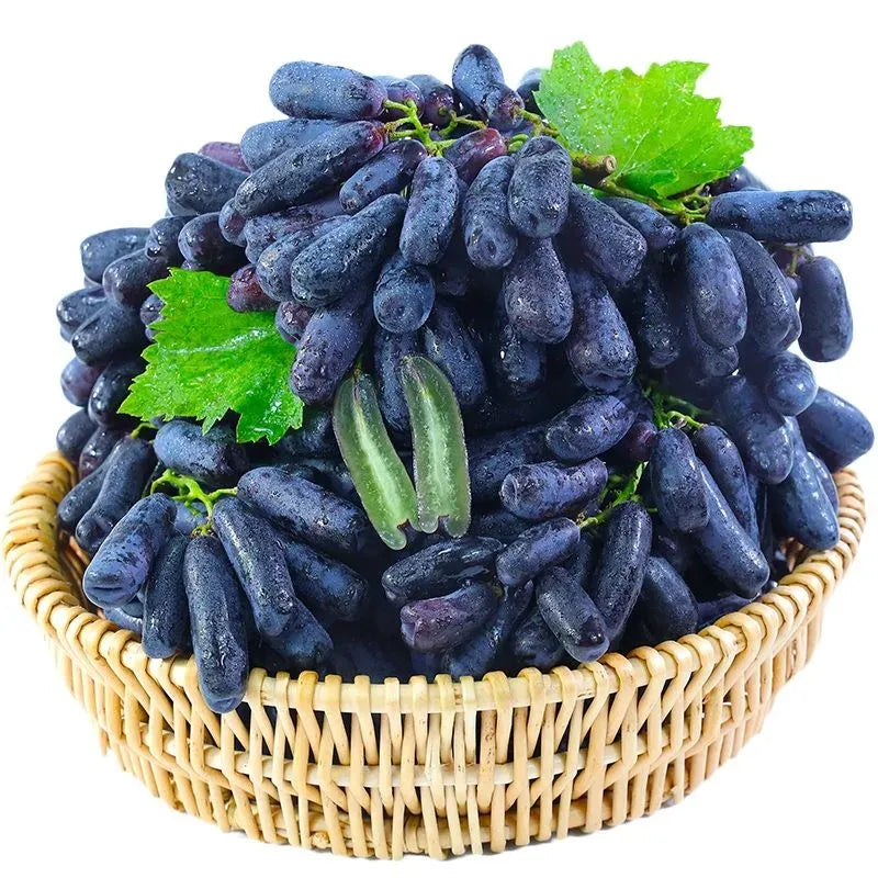 (100g) 🍇 SapphireVine® – Premium High-Yield Blue Grape Seeds (with Free Organic Pot Mix)