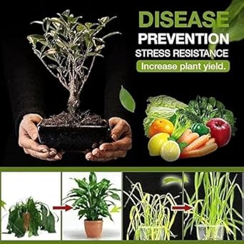 Treasure Soil Activator for Plants 100 Gram-Pack of 2