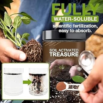 Treasure Soil Activator for Plants 100 Gram-Pack of 2